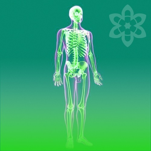 chavanprash-i-immunomodulyatory