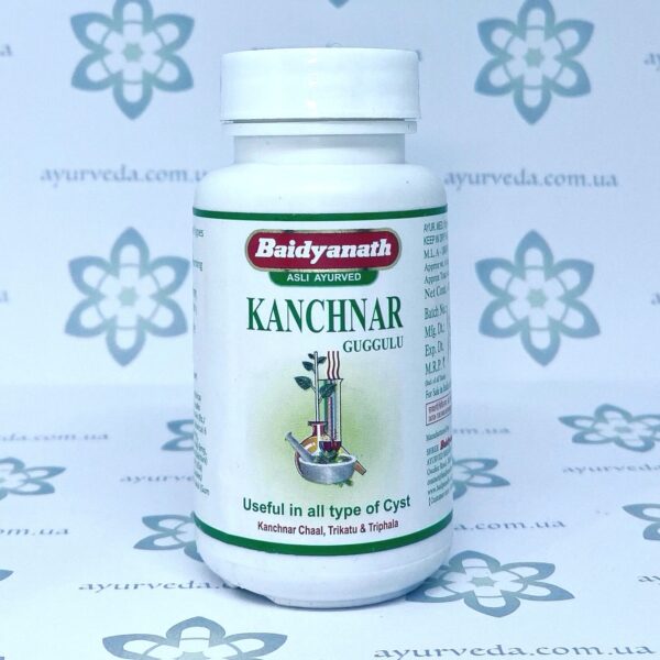 Kanchnar Guggulu Baidyanath (Канчнар Гуггулу) 80 таб.